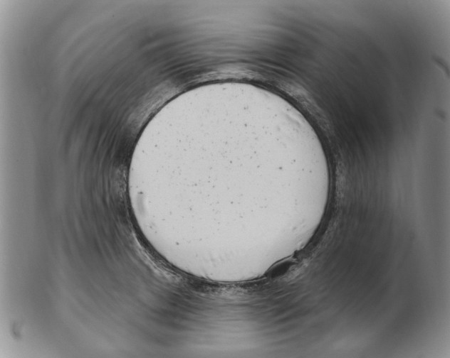 X0000102791233200809151118