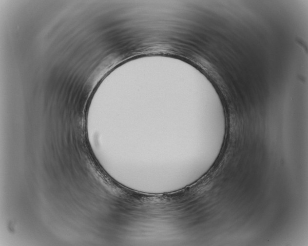 X0000102791234200809151118