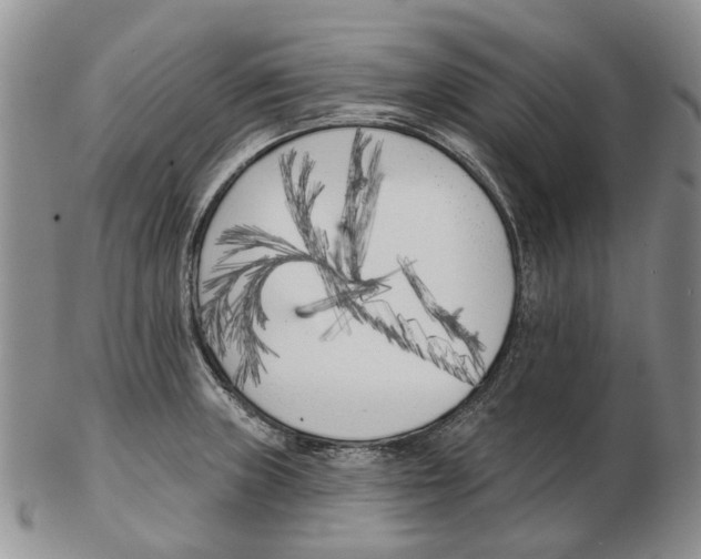 X0000102791235200809151118