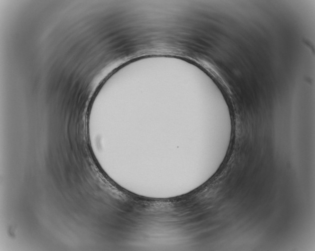 X0000102791238200809151118