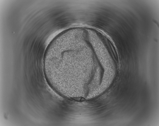 X0000102791239200809151118