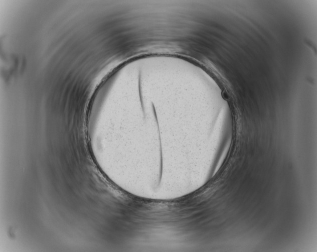 X0000102791240200809151118