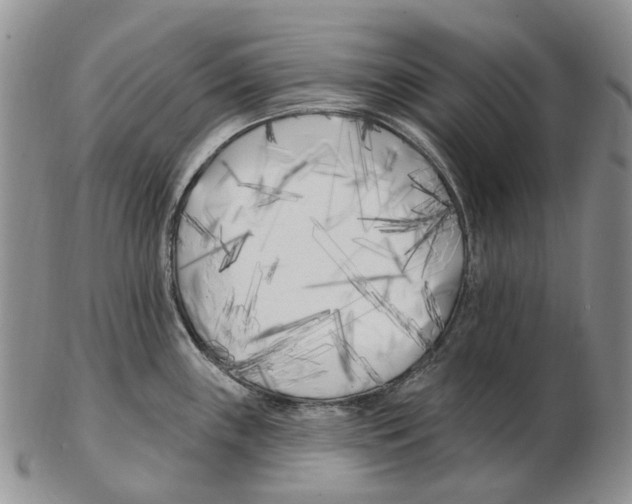 X0000102791243200809151118