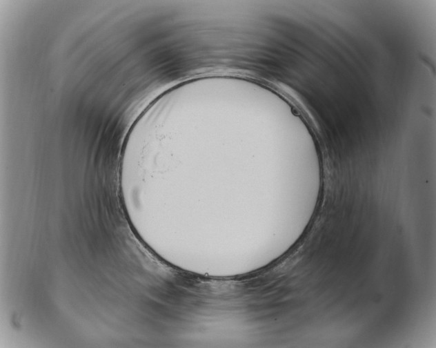 X0000102791244200809151118