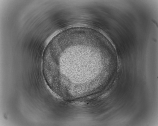 X0000102791245200809151118