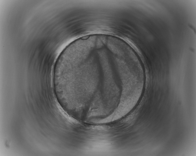 X0000102791246200809151118