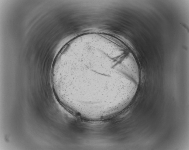 X0000102791247200809151118