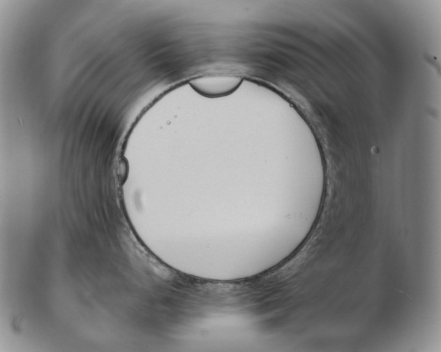 X0000102791248200809151118