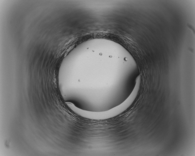 X0000102791252200809151117