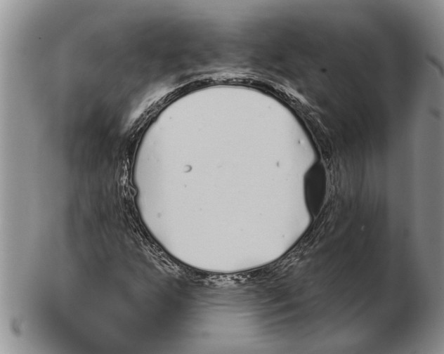 X0000102791255200809151117