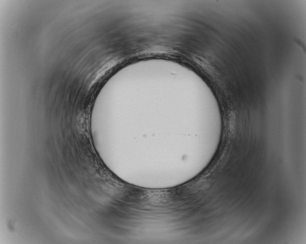 X0000102791258200809151117