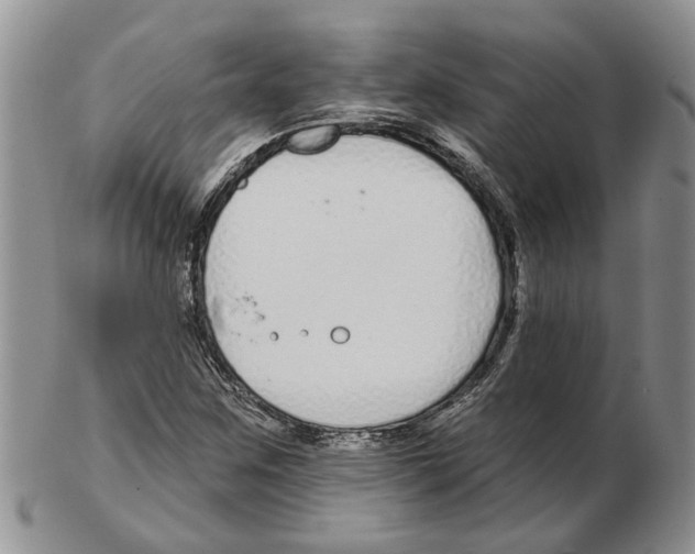 X0000102791259200809151117