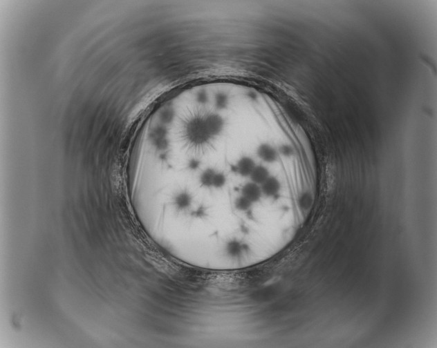 X0000102791266200809151117