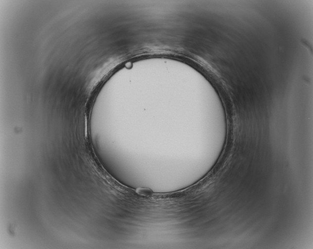 X0000102791269200809151117