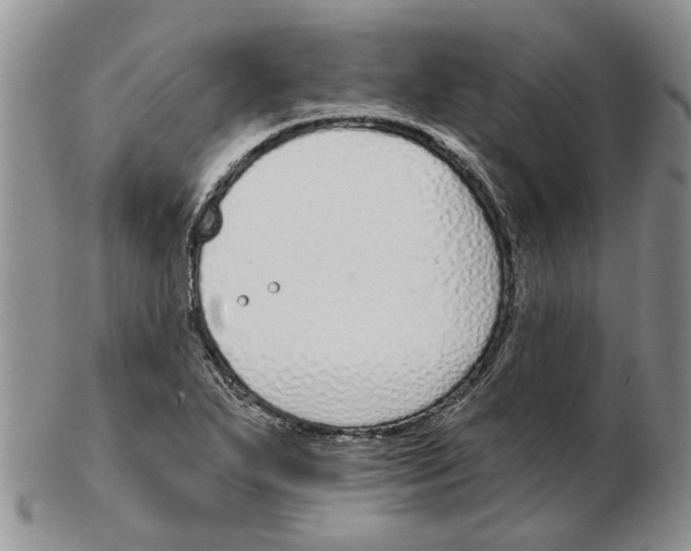 X0000102791271200809151117