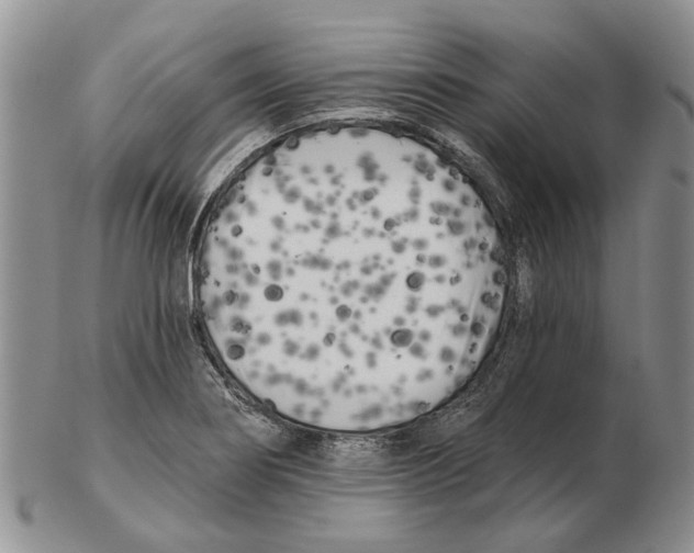 X0000102791274200809151117