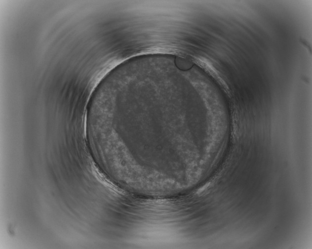 X0000102791276200809151117