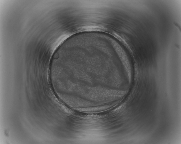 X0000102791277200809151117