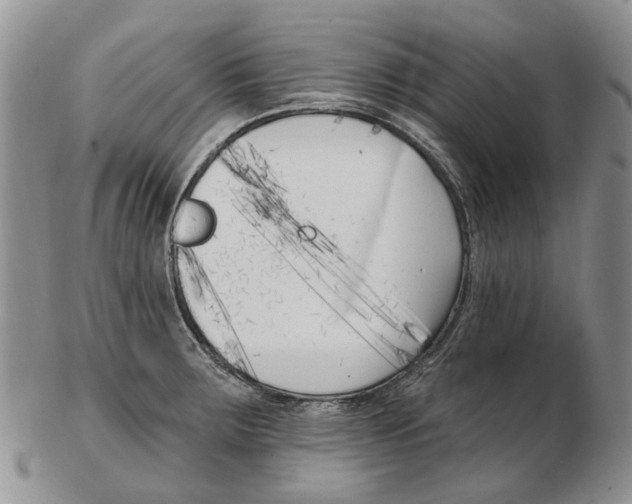 X0000102791283200809151116