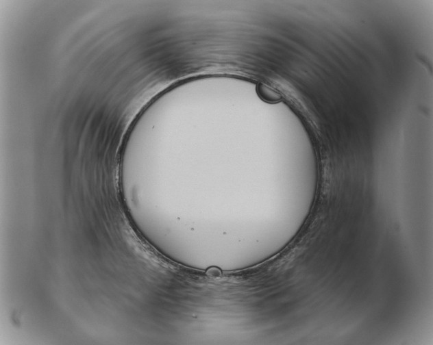 X0000102791284200809151116