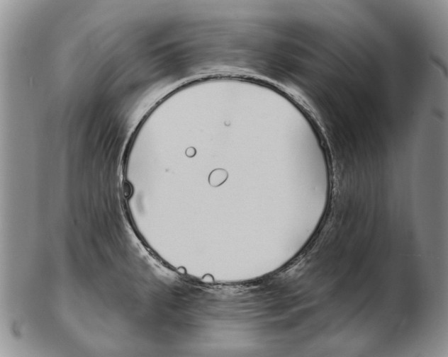 X0000102791287200809151116