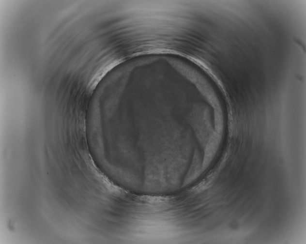 X0000102791289200809151116