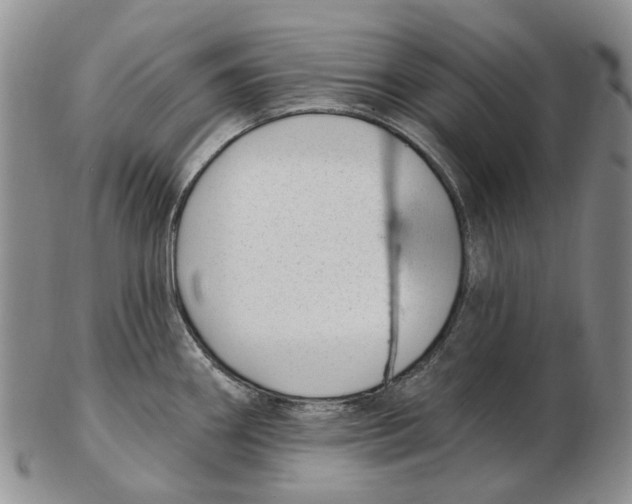 X0000102791290200809151116