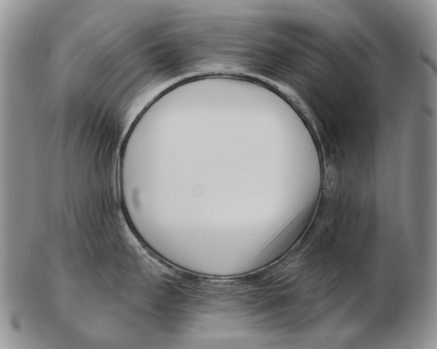 X0000102791295200809151116