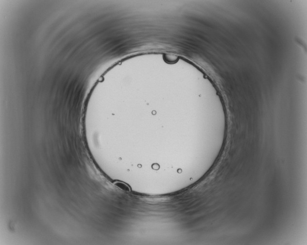 X0000102791296200809151116