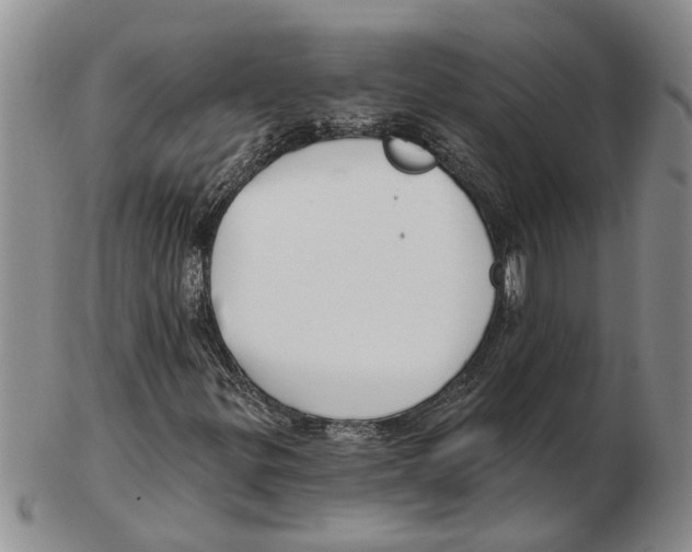 X0000102791299200809151116