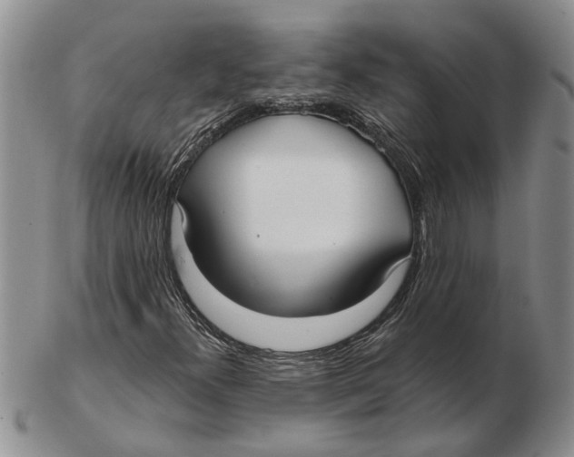 X0000102791300200809151116