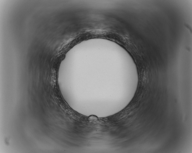 X0000102791301200809151116