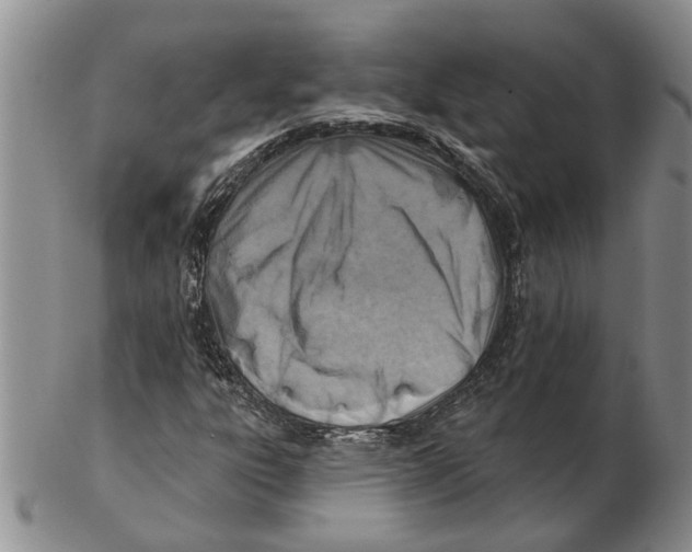 X0000102791303200809151116