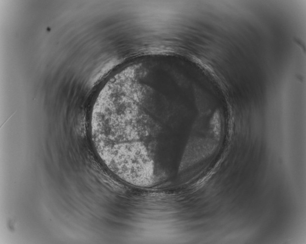 X0000102791306200809151116