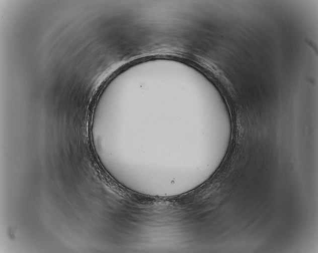 X0000102791316200809151116