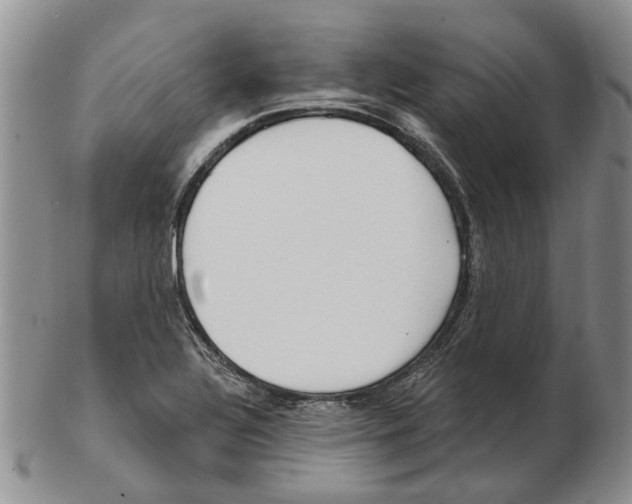 X0000102791320200809151116