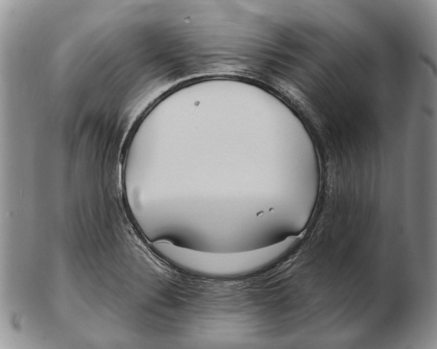 X0000102791324200809151116