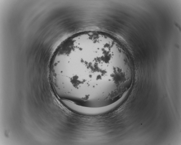 X0000102791326200809151116