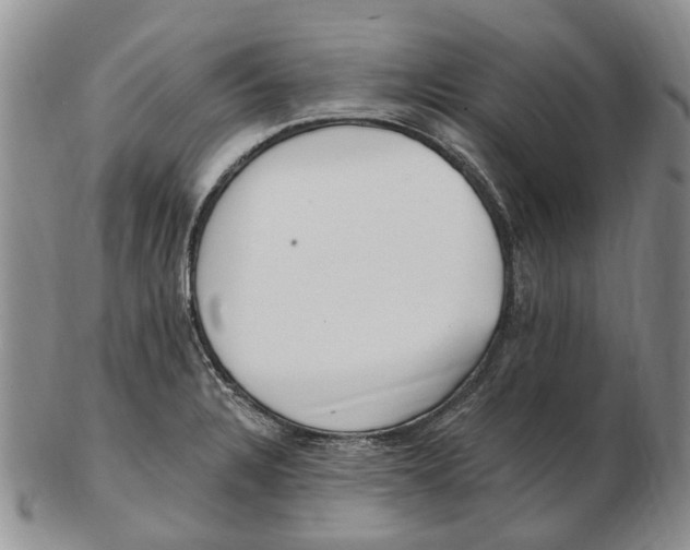 X0000102791328200809151116