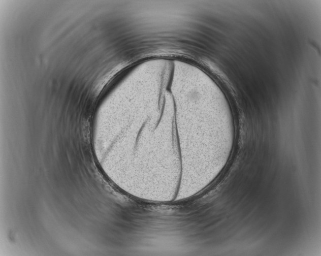 X0000102791329200809151116