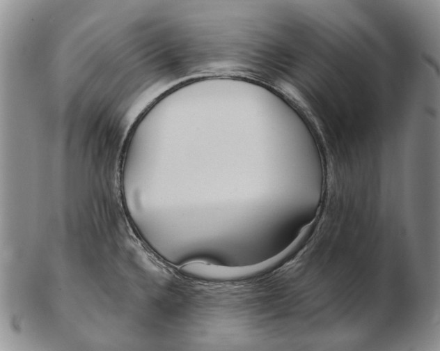 X0000102791336200809151116