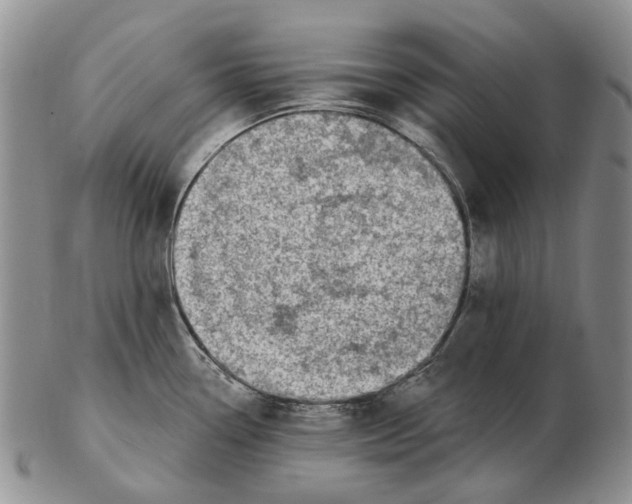 X0000102791338200809151116