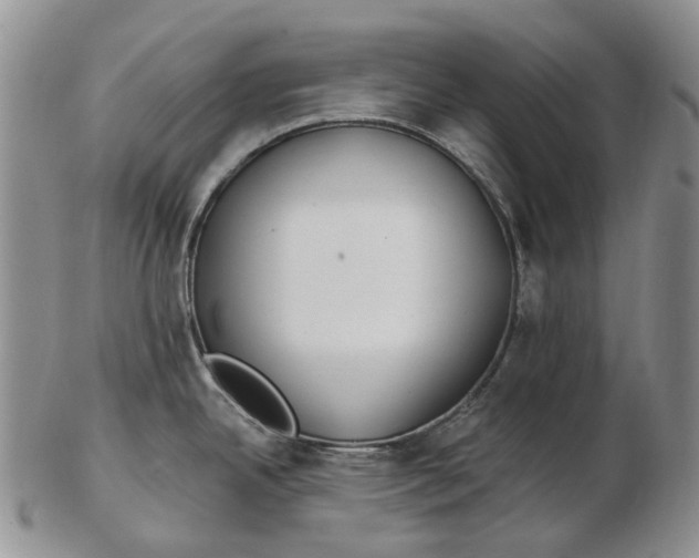 X0000102791342200809151116