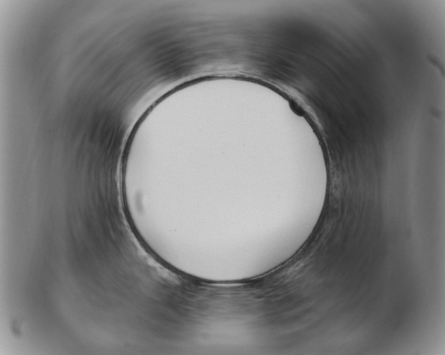 X0000102791343200809151116