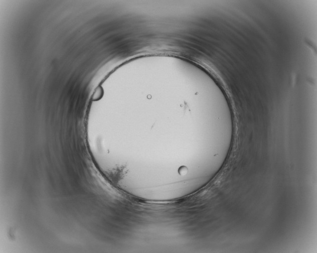 X0000102791344200809151116