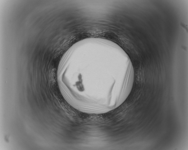 X0000102791346200809151116