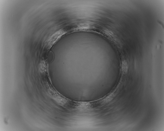 X0000102791353200809151116