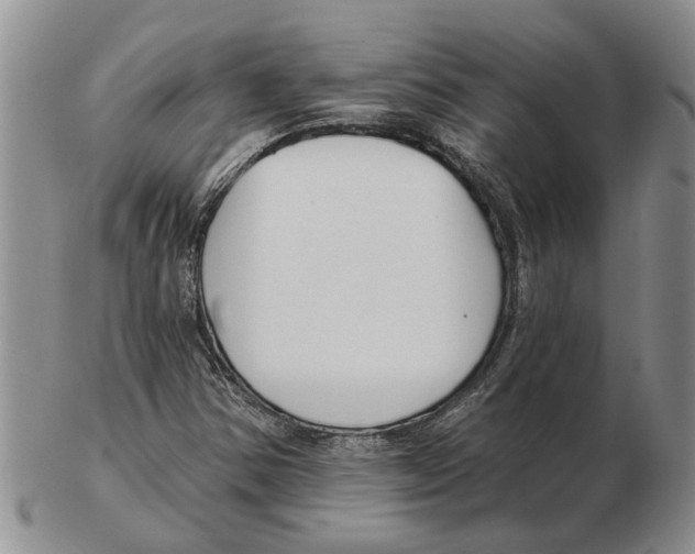 X0000102791354200809151116