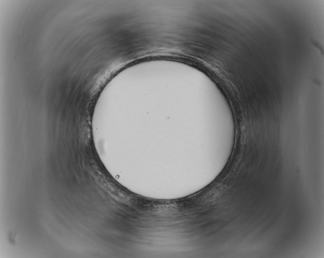 X0000102791363200809151115