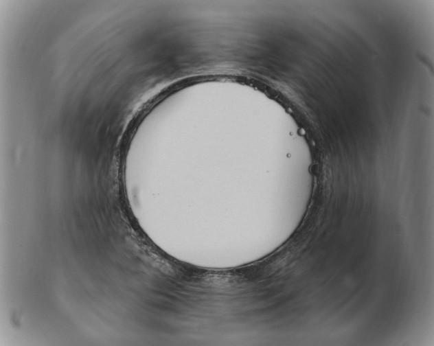 X0000102791364200809151115